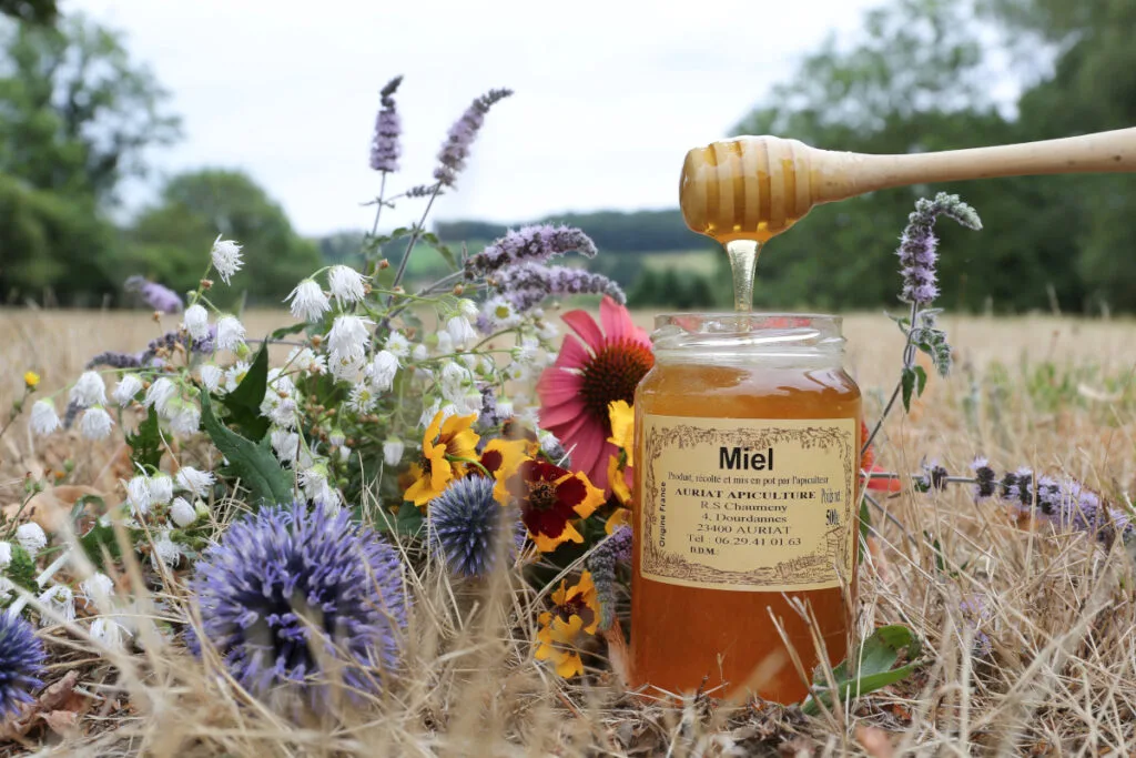 auriat apiculture 1 1024x683