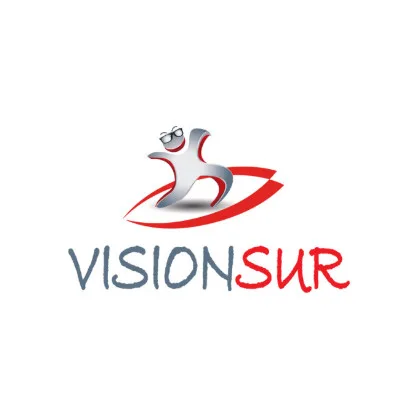 visionsur logo